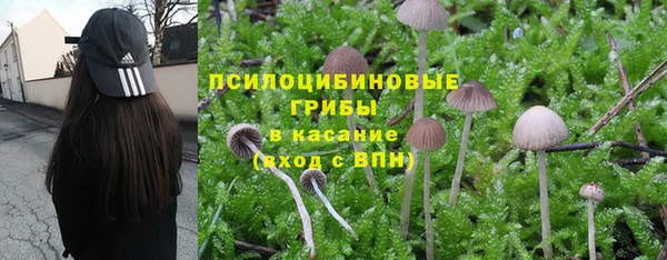 каннабис Горнозаводск